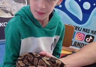 chłopczyk trzyma węża